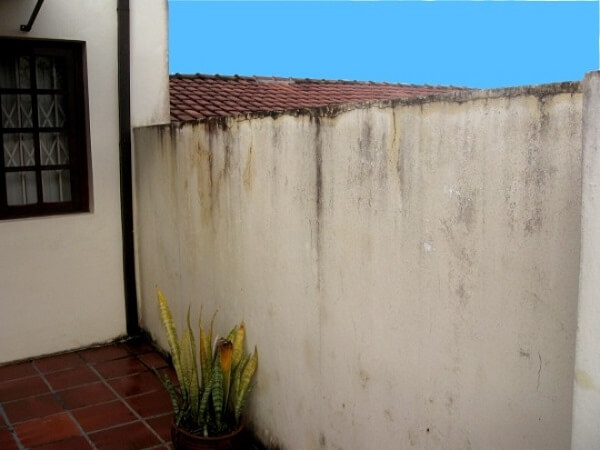 Muro sem pingadeira apresentando manchas de infiltração, mofo e descascamento de tinta