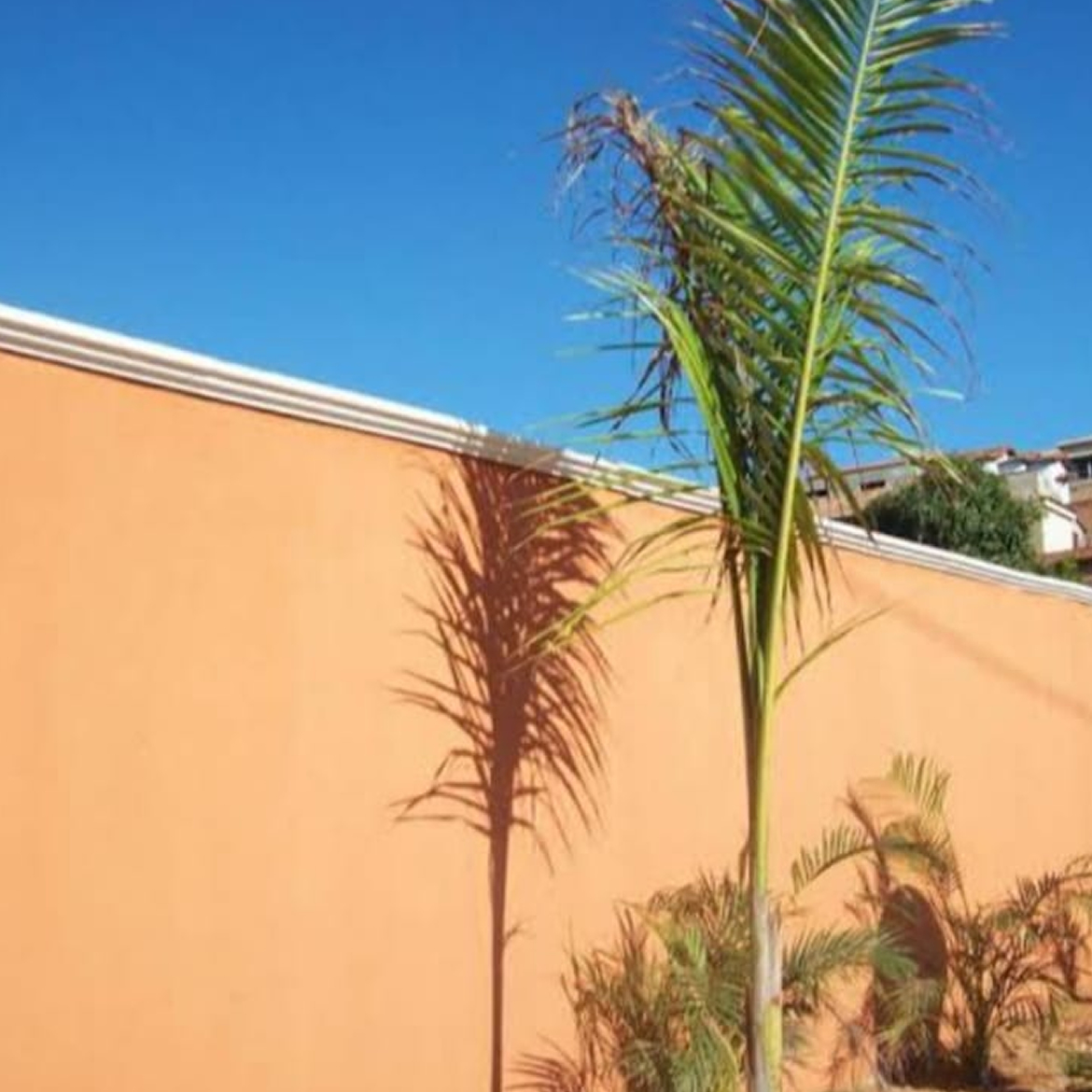 Muro com pingadeira de concreto protegendo o topo e afastando a água da fachada